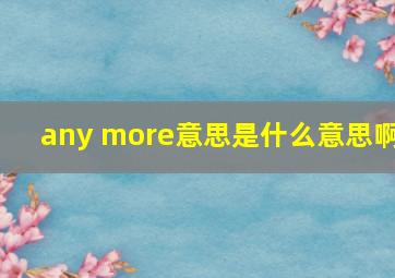 any more意思是什么意思啊